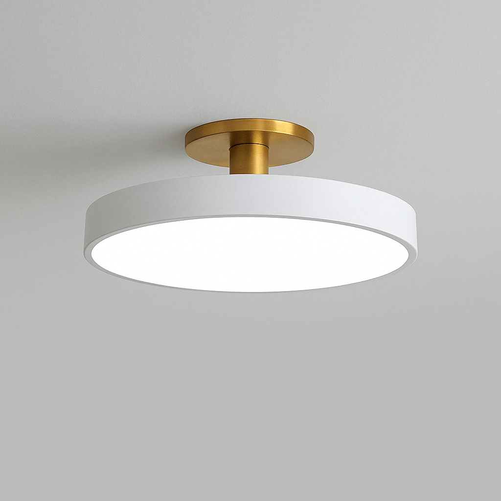 Nordic LED Ceiling Light Modern Flush Mount Lighting