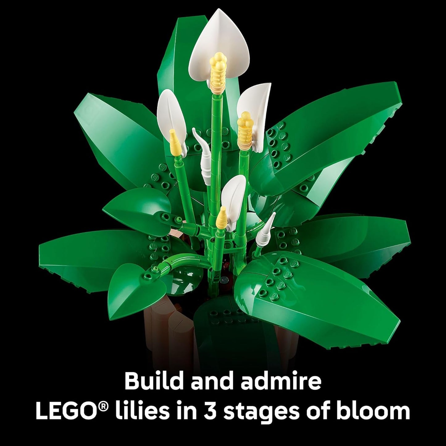 Peace Lily Flower Building Set for Adults - DIY Home Decor Kit for Bedroom, Office & Bookshelf - Perfect Gift for Birthdays - Artificial Flower Crafting Set - 11504