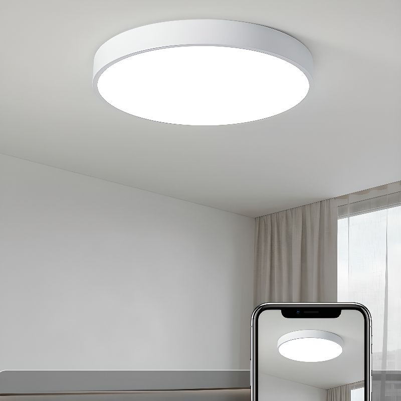Modern Aura Circular Flush‑Mount LED Ceiling Light