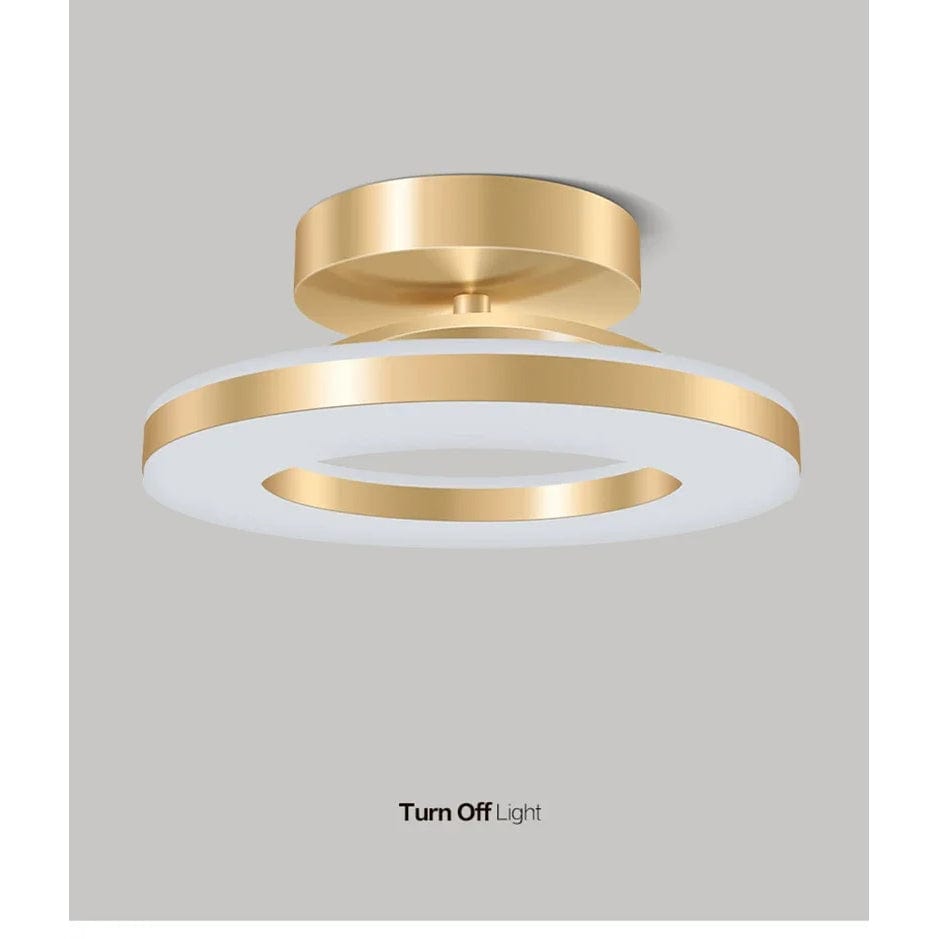 LumaFlex Adjustable LED Flush Mount Ceiling Light – Iron & Acrylic, Gold/Black Finish