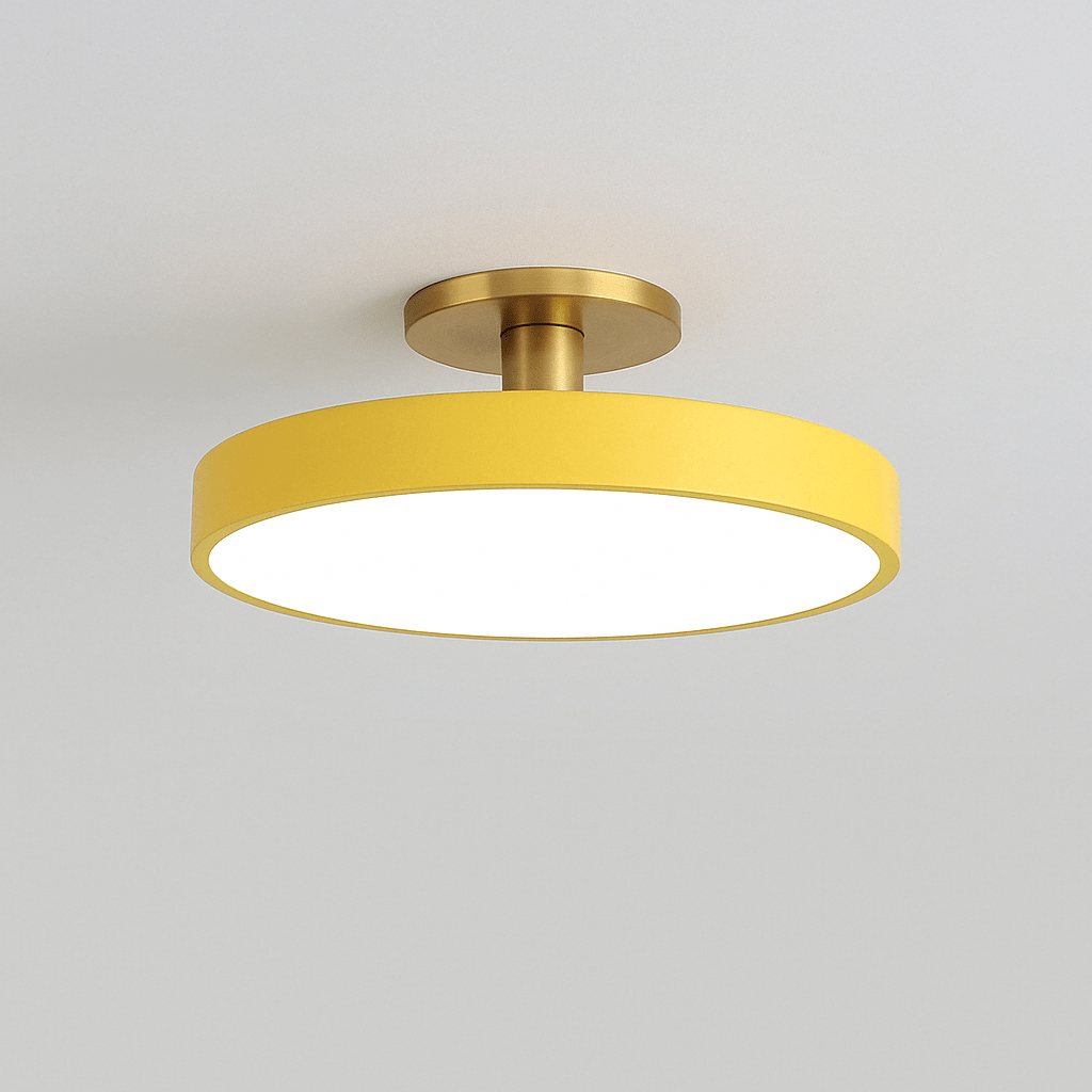 Nordic LED Ceiling Light  Modern Flush Mount Lighting