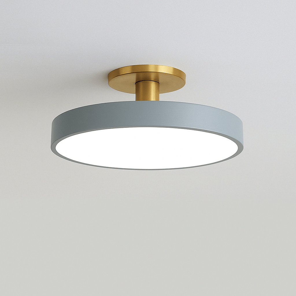 Nordic LED Ceiling Light  Modern Flush Mount Lighting