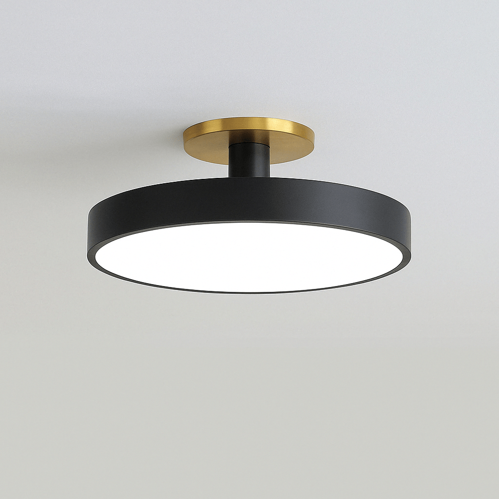 Nordic LED Ceiling Light  Modern Flush Mount Lighting