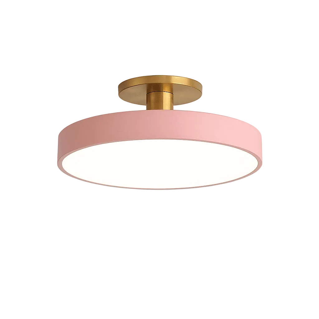 Nordic LED Ceiling Light  Modern Flush Mount Lighting