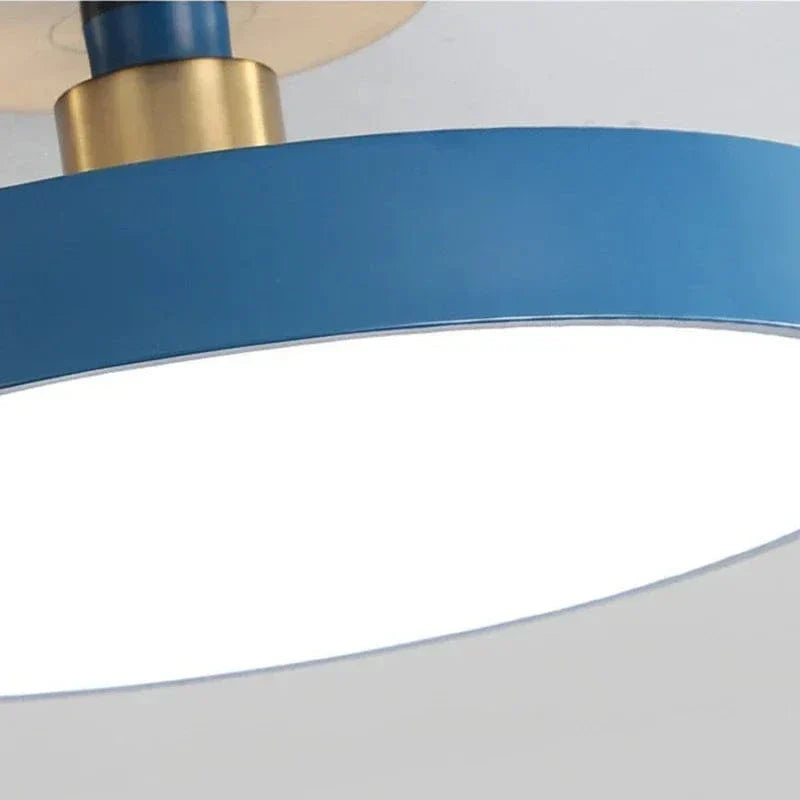 Nordic LED Ceiling Light  Modern Flush Mount Lighting