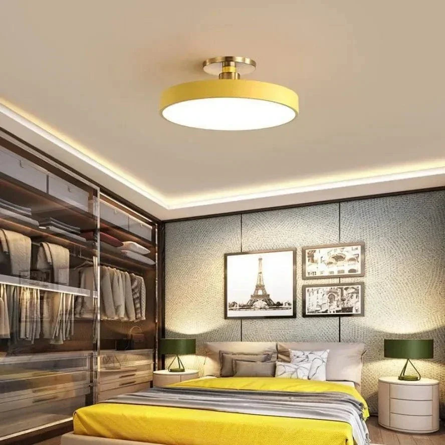 Nordic LED Ceiling Light  Modern Flush Mount Lighting