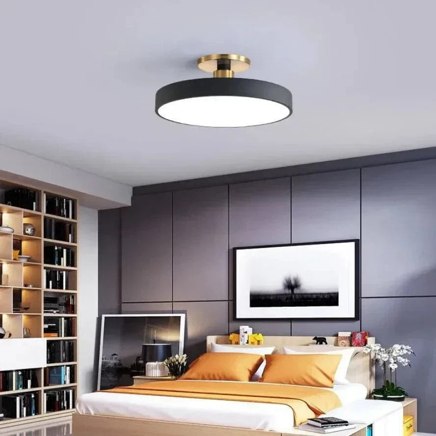 Nordic LED Ceiling Light  Modern Flush Mount Lighting