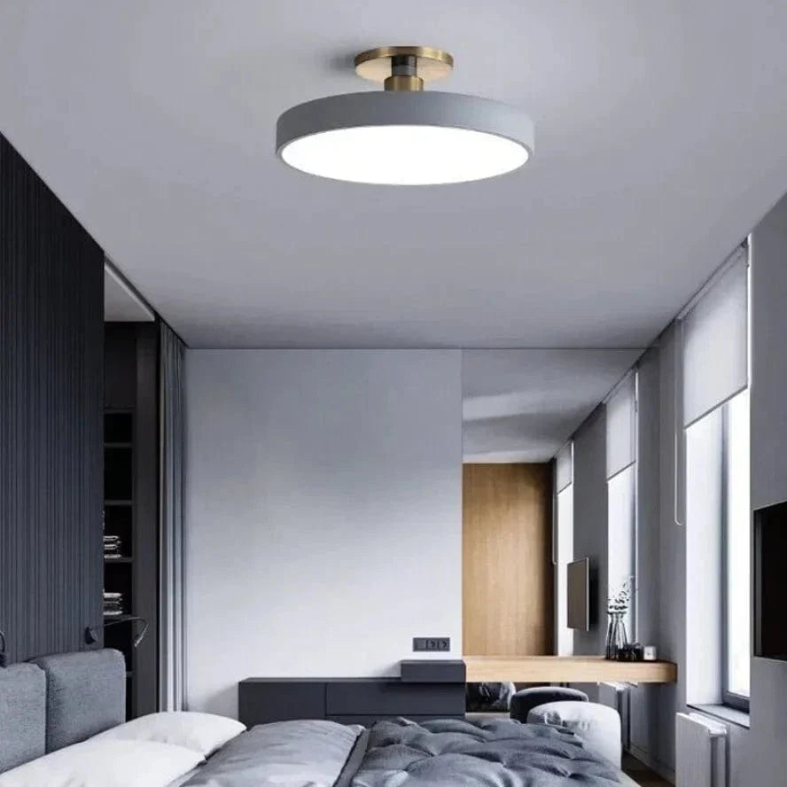 Nordic LED Ceiling Light  Modern Flush Mount Lighting
